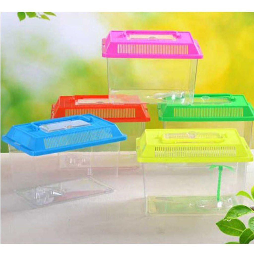 δεξαμενή-ψαριών-διαφανής-πλαστική-plastic-aquarium-box